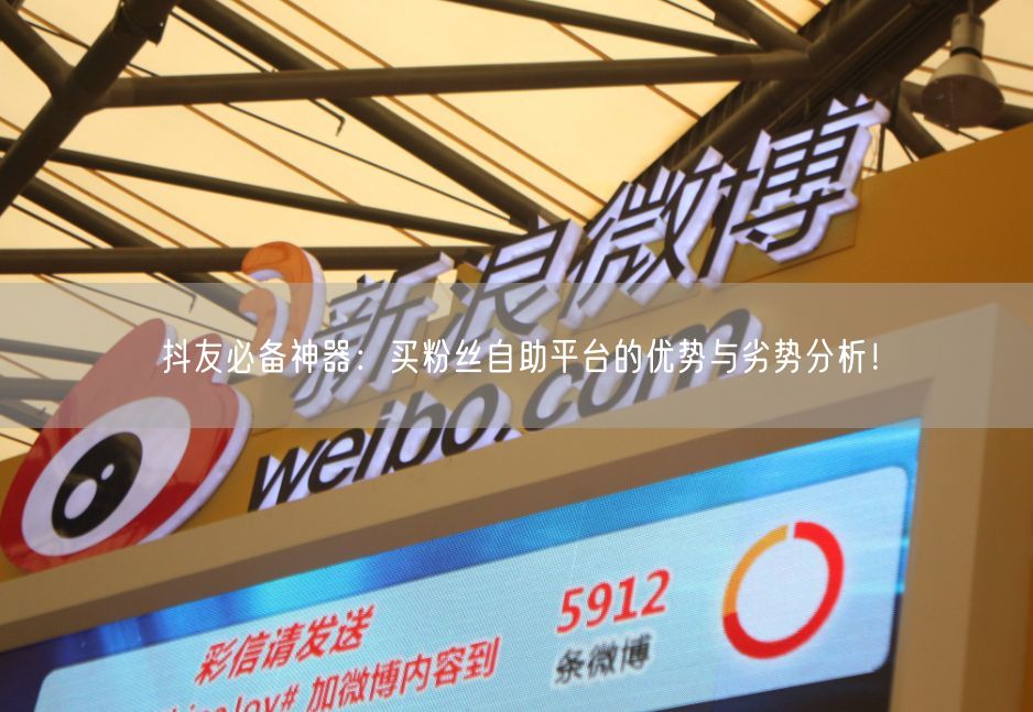 抖友必备神器：买粉丝自助平台的优势与劣势分析！